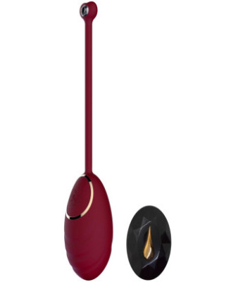 Œuf vibrant rouge avec télécommande USB 